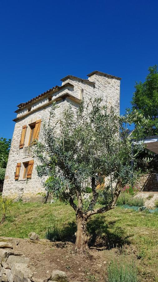 Villa Le pigeonnier de felines à Caylus Extérieur photo
