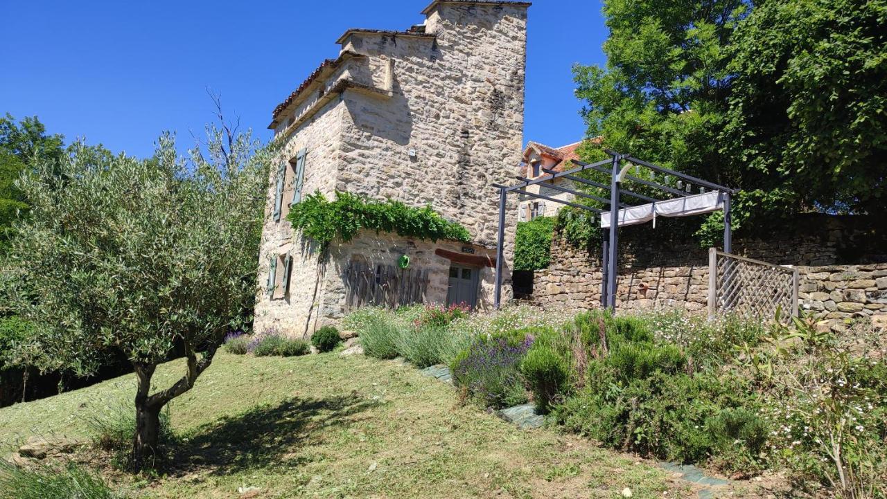 Villa Le pigeonnier de felines à Caylus Extérieur photo