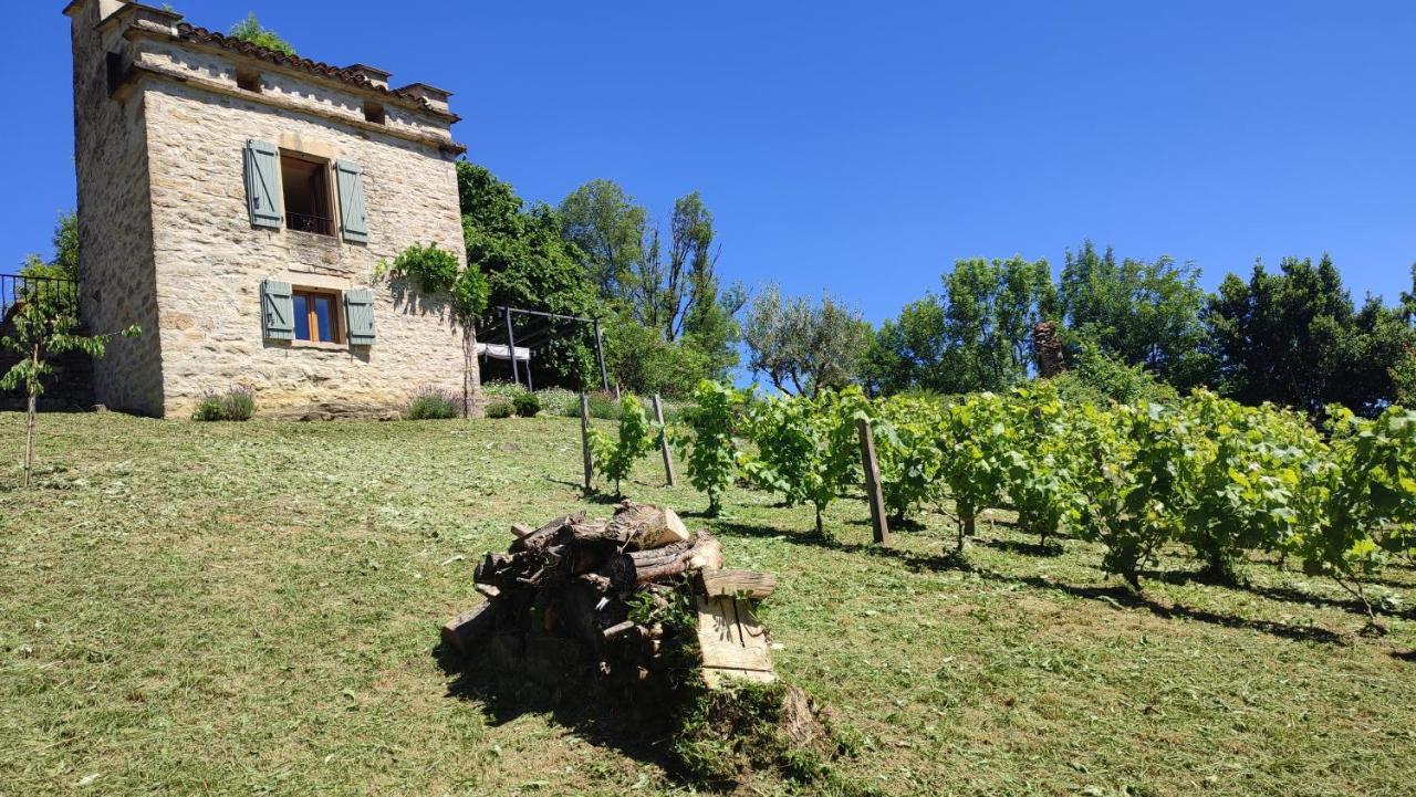 Villa Le pigeonnier de felines à Caylus Extérieur photo