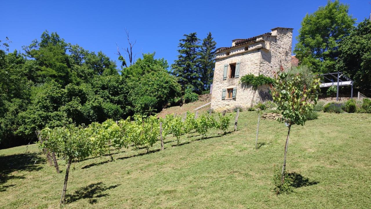 Villa Le pigeonnier de felines à Caylus Extérieur photo