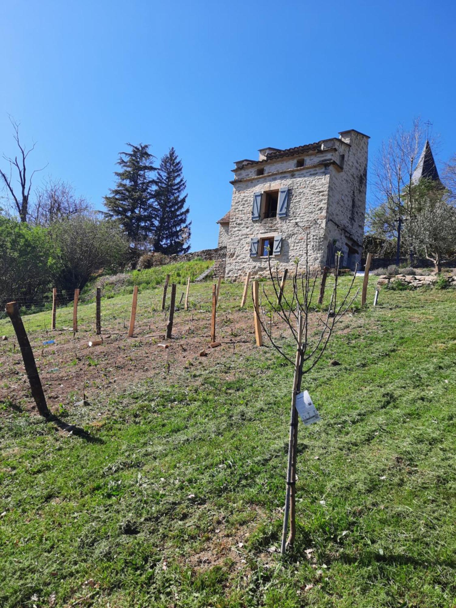 Villa Le pigeonnier de felines à Caylus Chambre photo