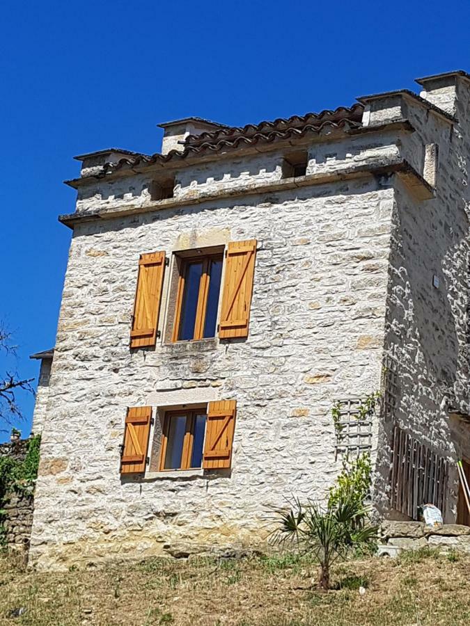 Villa Le pigeonnier de felines à Caylus Extérieur photo